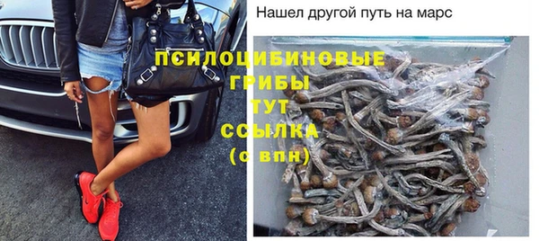 MDMA Premium VHQ Зеленокумск