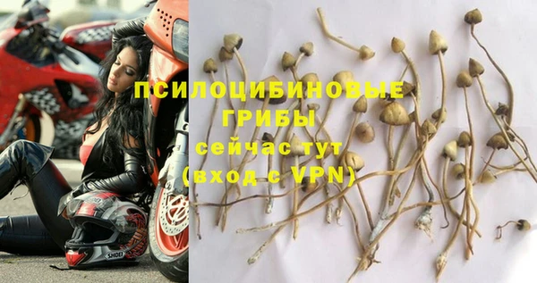 MDMA Premium VHQ Зеленокумск