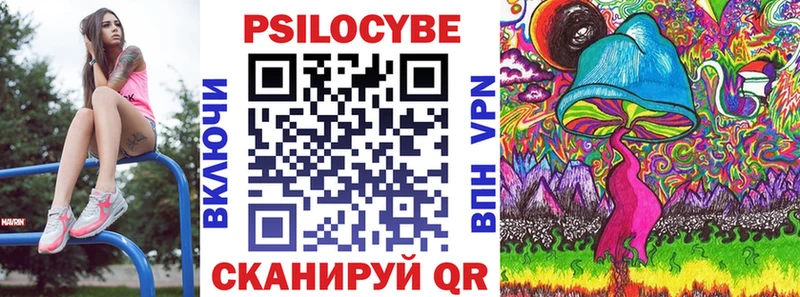 Купить где  Приволжский  Галлюциногенные грибы Psilocybe 