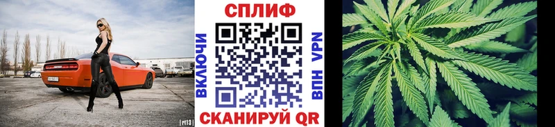Канабис индика Приволжский